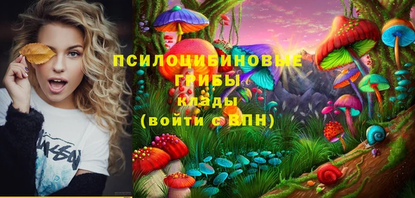 apvp Алексеевка