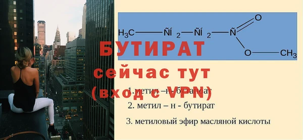 индика Алексин