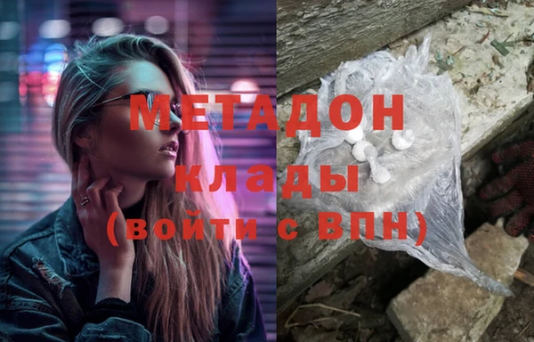 индика Алексин