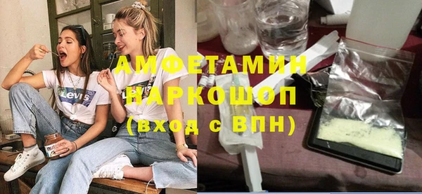 индика Алексин