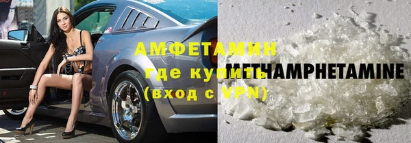 индика Алексин