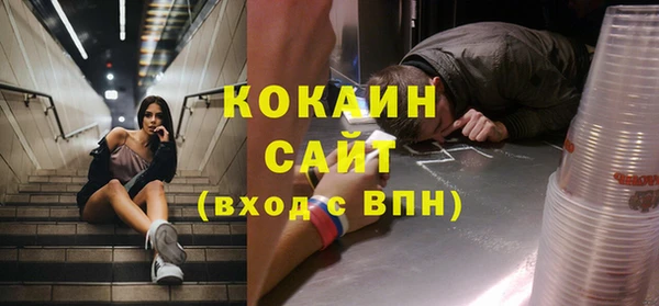 индика Алексин