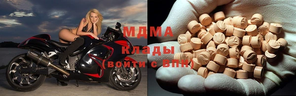 индика Алексин